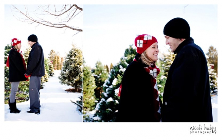 plymouth wedding photography, michigan engagement photography
