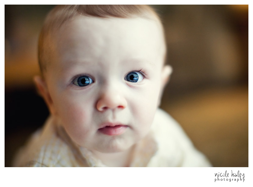 Ann Arbor Photography, Colin, Nicole Haley Photography