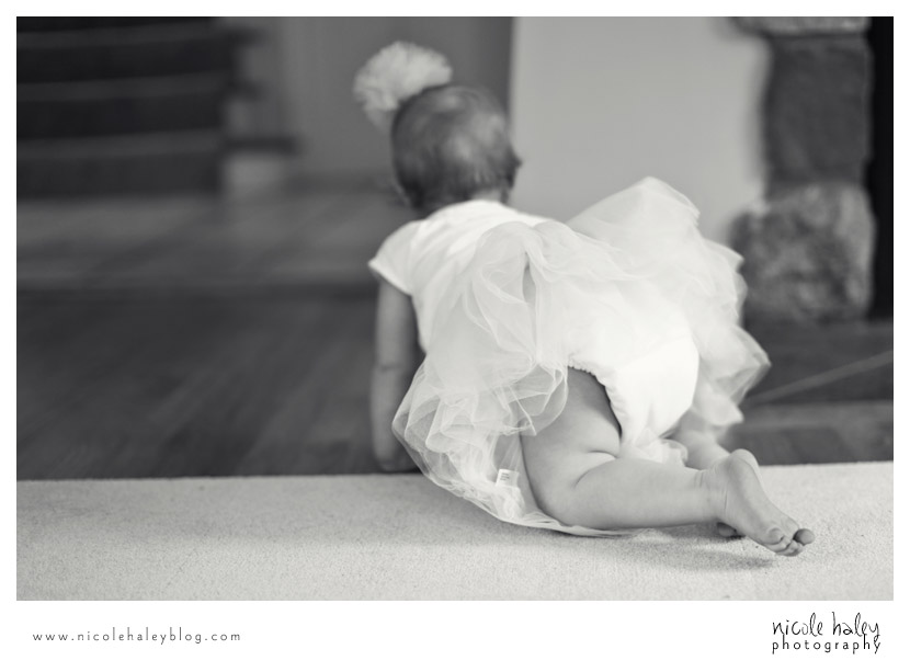 Michigan Wedding Photographer, Michigan Portrait Photographer, Elle