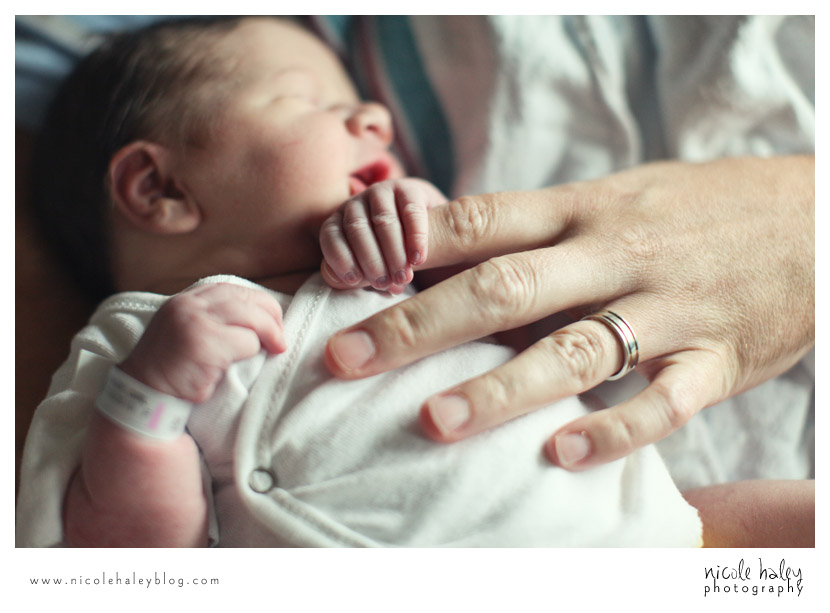 Nicole Haley Photography, Novi Baby Photography