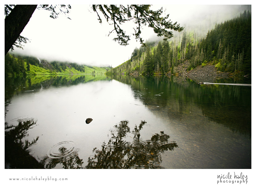 nicole haley photography, seattle