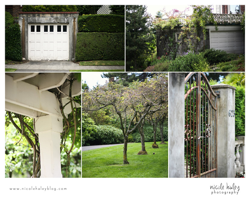 nicole haley photography, seattle