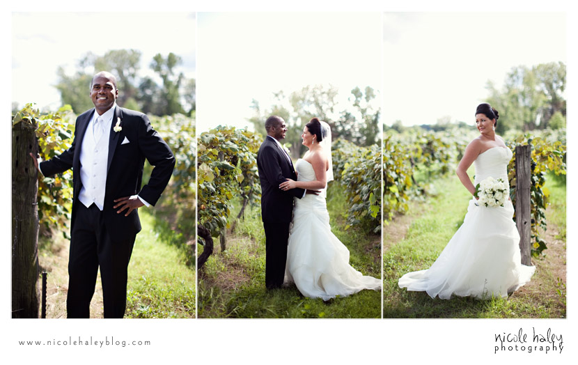 willow harbor vineyard wedding, three oaks, michigan, nicole haley photography, liz and stephen
