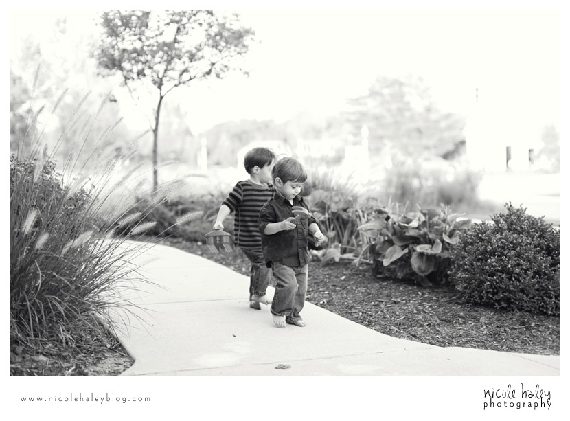 nicole haley photography, lansing children's photography