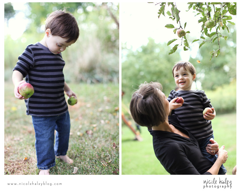 nicole haley photography, lansing children's photography