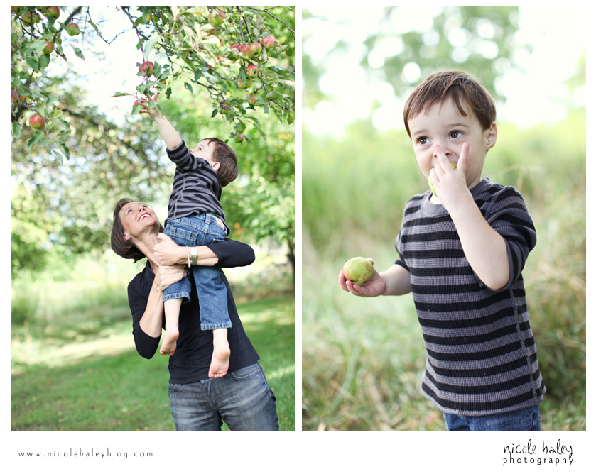 nicole haley photography, lansing children's photography