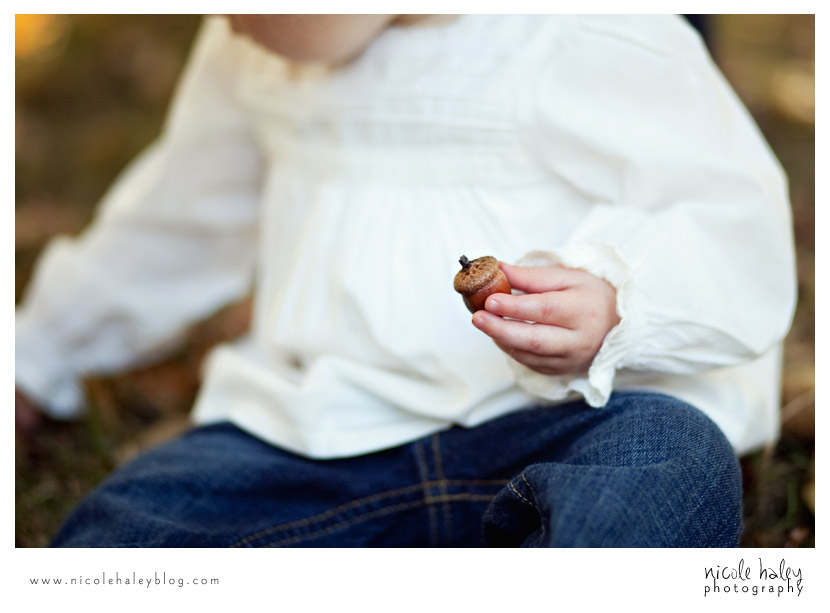 Ava, Nicole Haley Photography, Ann Arbor Child Photography, Beal Gardens, playing with acorns