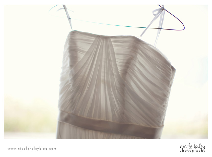 nicole haley photography, howard and dana, south haven, michigan outdoor wedding