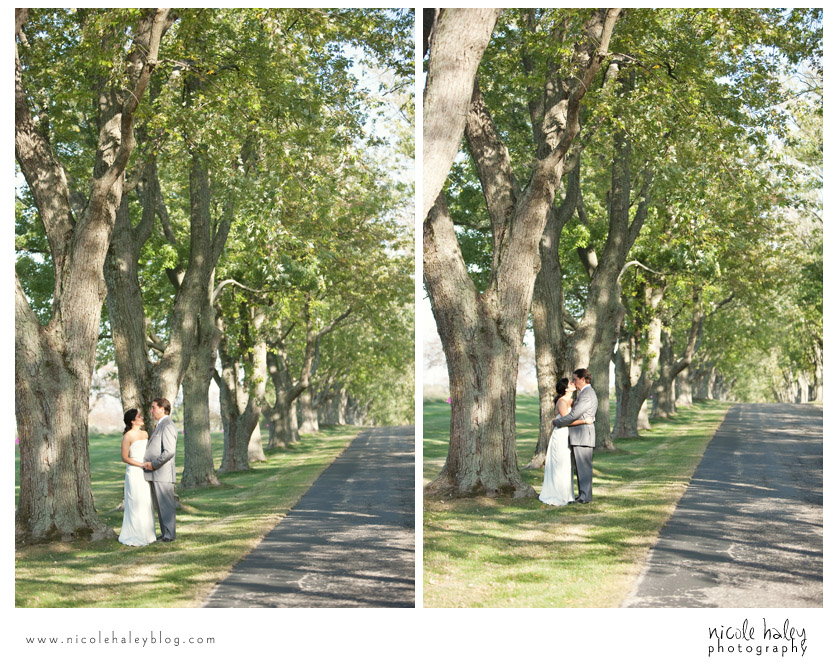 nicole haley photography, howard and dana, south haven, michigan outdoor wedding