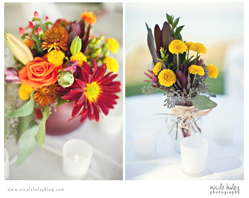 nicole haley photography, howard and dana, south haven, michigan outdoor wedding