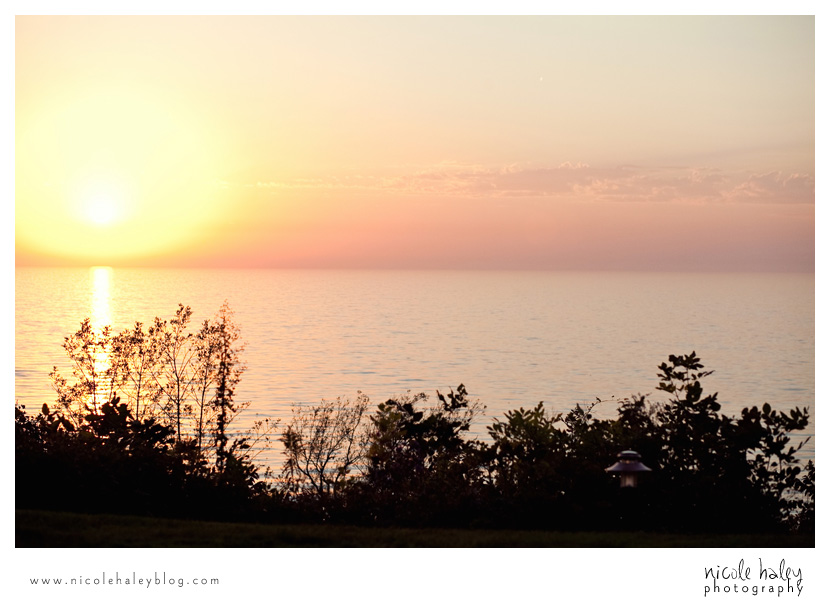 nicole haley photography, howard and dana, south haven, michigan outdoor wedding