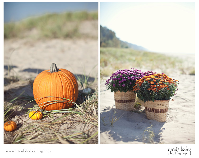 nicole haley photography, howard and dana, south haven, michigan outdoor wedding