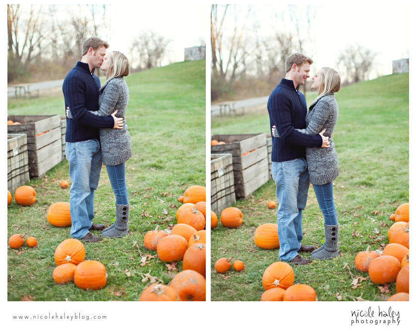 Ashlee and Andrew, Nicole Haley Photography, Kensington Metropark, Fall Engagement Session, Ann Arbor Wedding Photography, Pumpkins