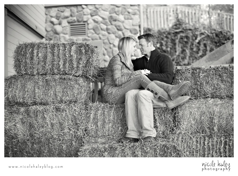 Ashlee and Andrew, Nicole Haley Photography, Kensington Metropark, Fall Engagement Session, Ann Arbor Wedding Photography