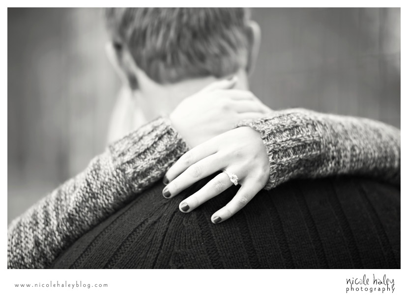 Ashlee and Andrew, Nicole Haley Photography, Kensington Metropark, Fall Engagement Session, Ann Arbor Wedding Photography
