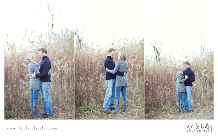 Ashlee and Andrew, Nicole Haley Photography, Kensington Metropark, Fall Engagement Session, Ann Arbor Wedding Photography