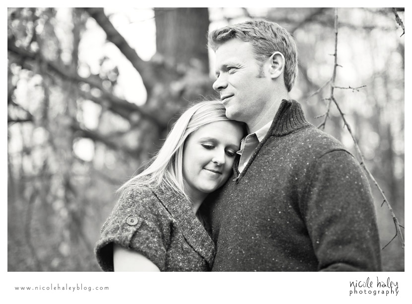 Ashlee and Andrew, Nicole Haley Photography, Kensington Metropark, Fall Engagement Session, Ann Arbor Wedding Photography