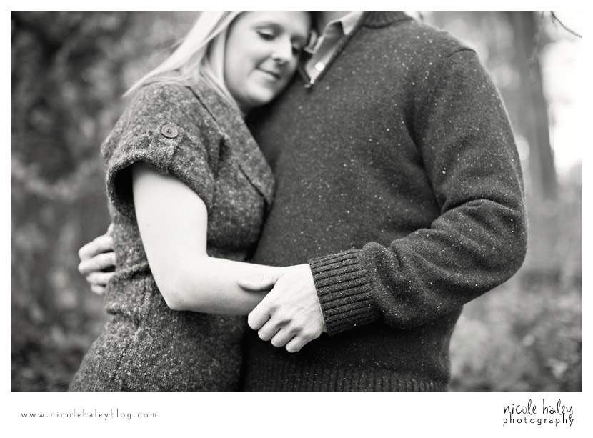 Ashlee and Andrew, Nicole Haley Photography, Kensington Metropark, Fall Engagement Session, Ann Arbor Wedding Photography