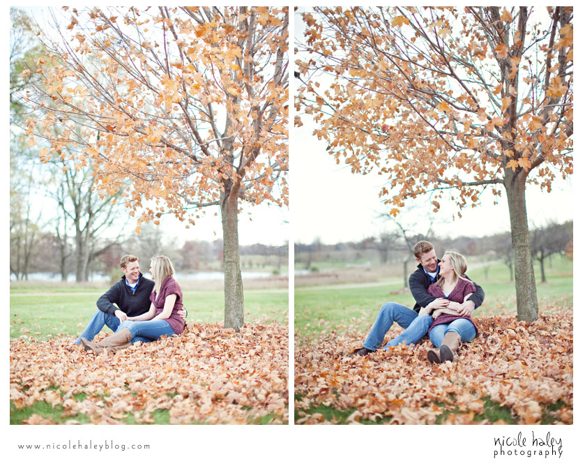 Ashlee and Andrew, Nicole Haley Photography, Kensington Metropark, Fall Engagement Session, Ann Arbor Wedding Photography