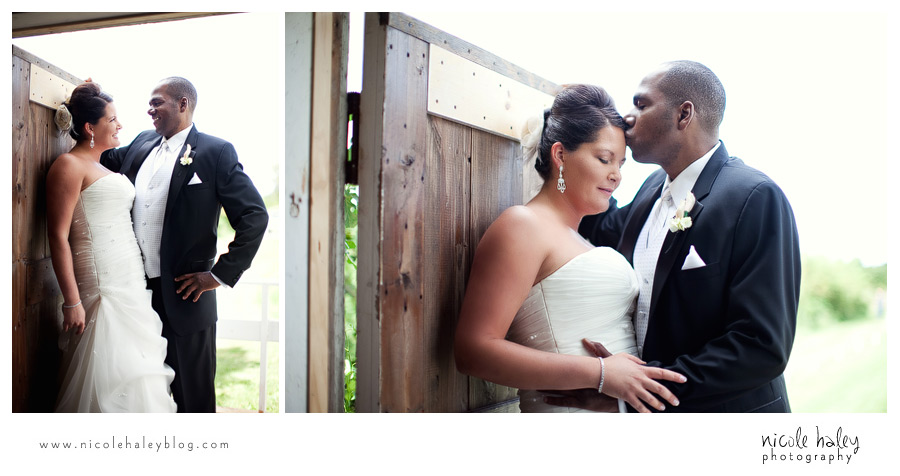 Nicole Haley Photography, Michigan Wedding Photography, Michigan vineyard wedding photos, Willow Harbor Vineyard wedding