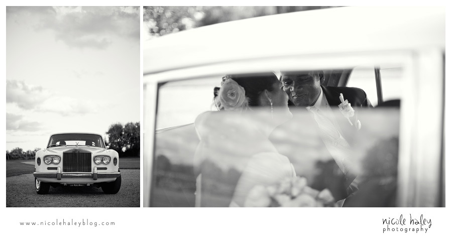 Nicole Haley Photography, Michigan Wedding Photography, Michigan vineyard wedding photos, Willow Harbor Vineyard wedding