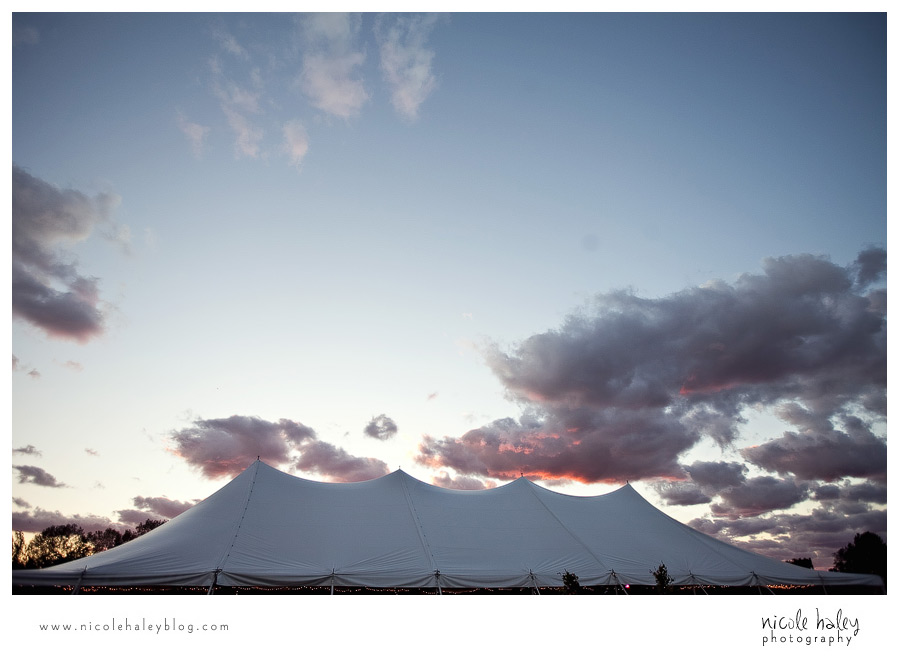 Nicole Haley Photography, Michigan Wedding Photography, Michigan vineyard wedding photos, Willow Harbor Vineyard wedding