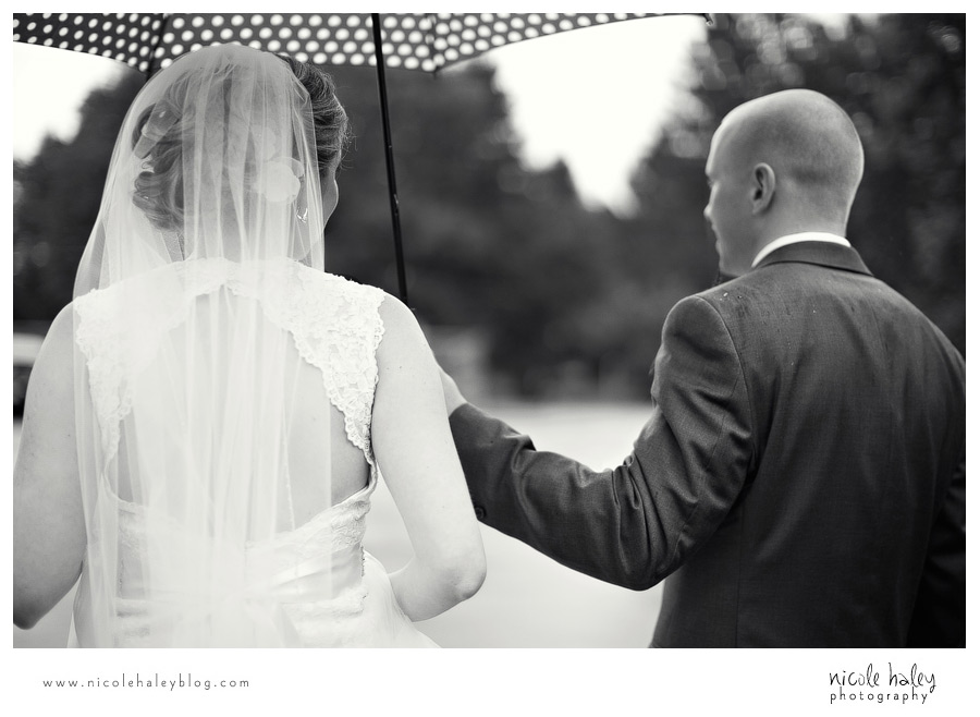 Nicole Haley Photography, Farmington, Michigan Wedding Photography, Longacre House Wedding Photos