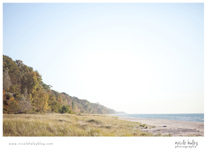nicole haley photography, michigan wedding photography, beach