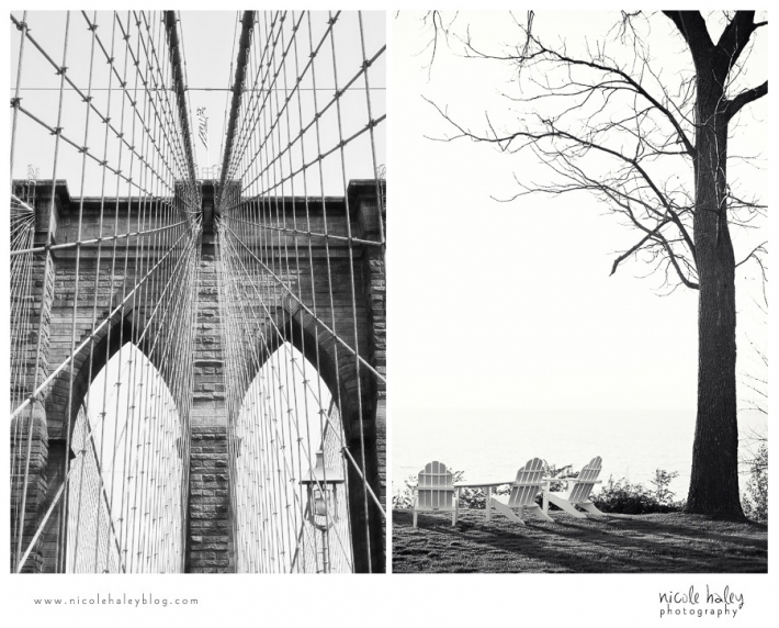 nicole haley photography, michigan wedding photography, brooklyn bridge