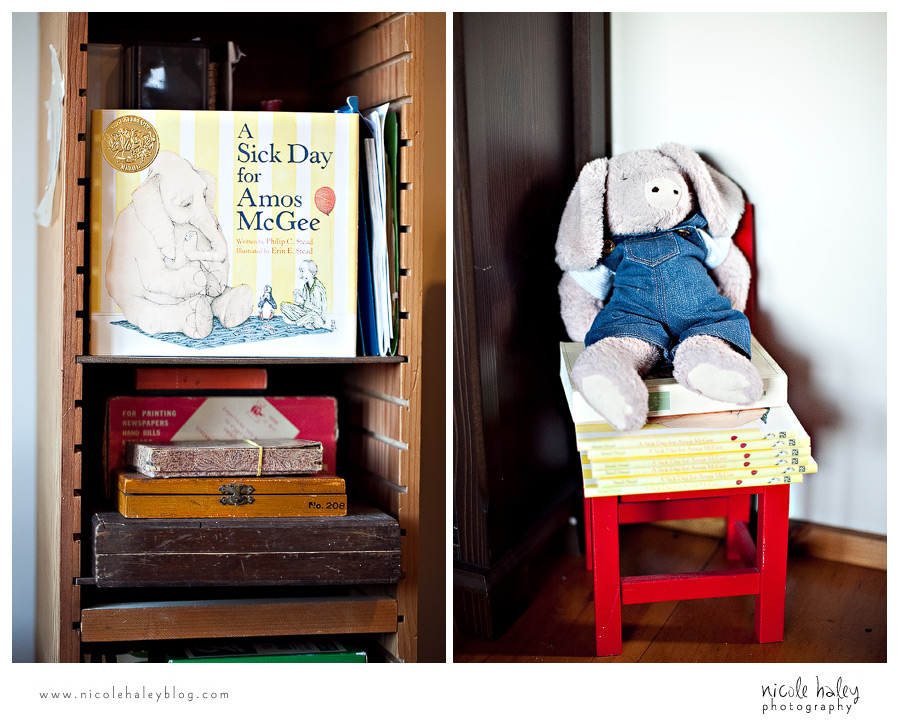 Nicole Haley Photography, A Sick Day for Amos McGee, Erin Stead, Phil Stead