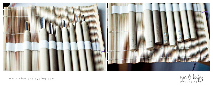 Nicole Haley Photography, A Sick Day for Amos McGee, Erin Stead, Phil Stead