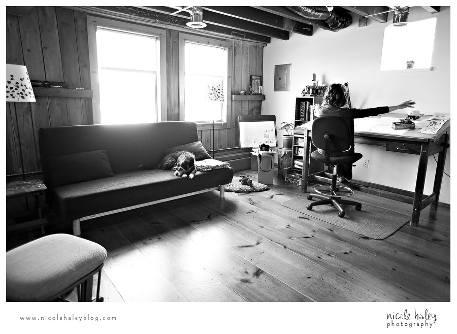 Nicole Haley Photography, A Sick Day for Amos McGee, Erin Stead, Phil Stead