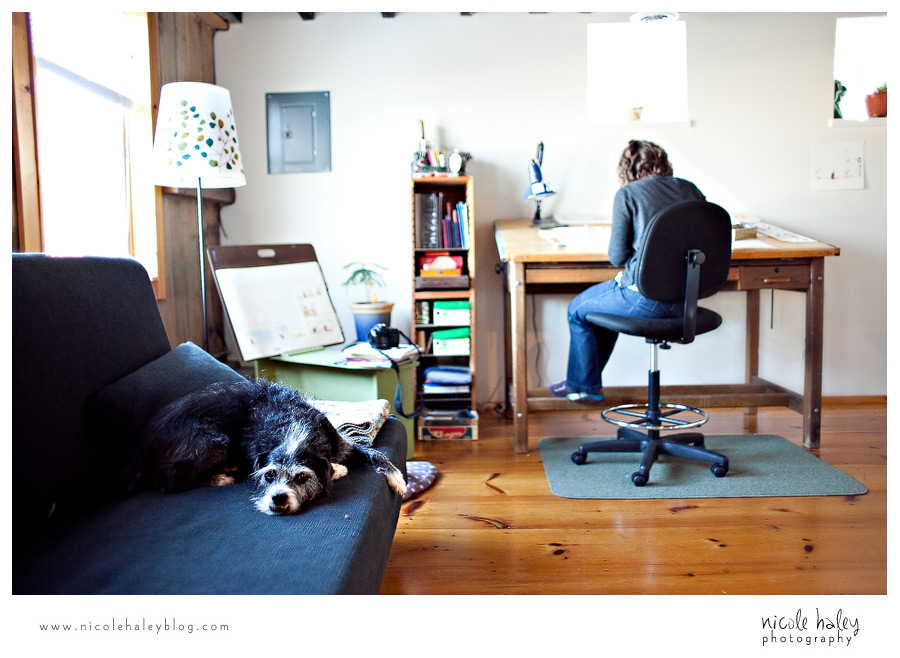 Nicole Haley Photography, A Sick Day for Amos McGee, Erin Stead, Phil Stead