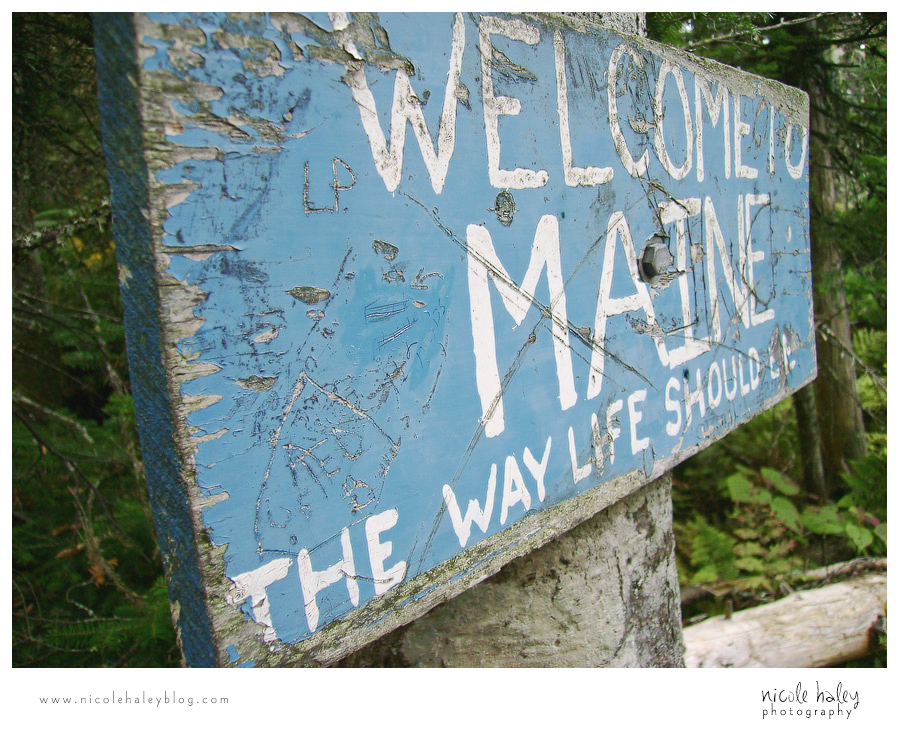 nicole haley photography, welcome to maine, sign on appalachian trail
