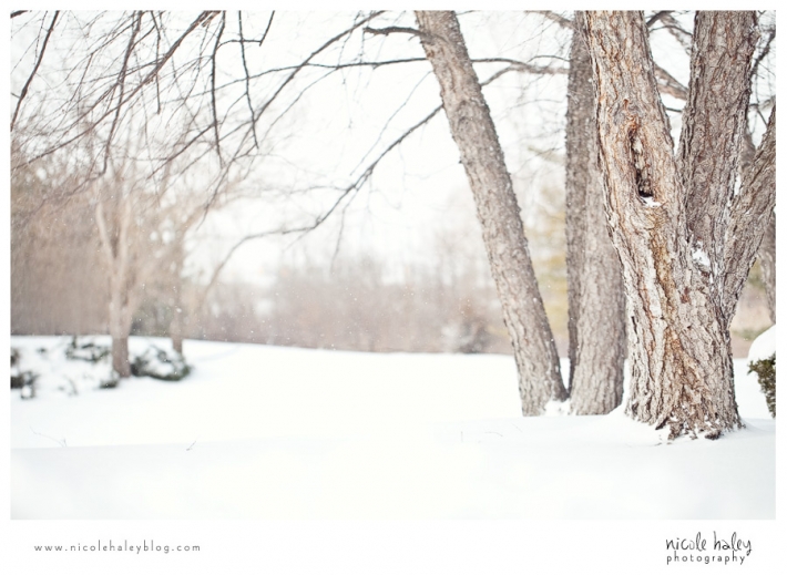 Nicole Haley Photography, Snow, Space