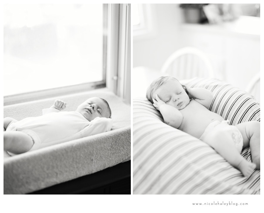 Nicole Haley Photography, Ann Arbor Children's Photography