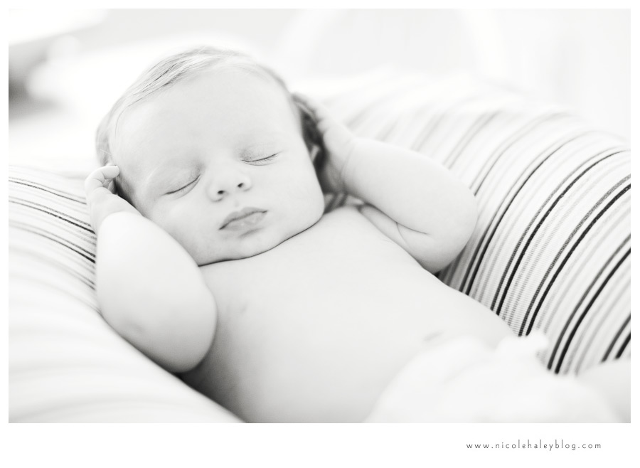 Nicole Haley Photography, Ann Arbor Children's Photography