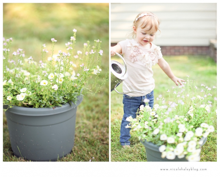 nicole haley photography, michigan children