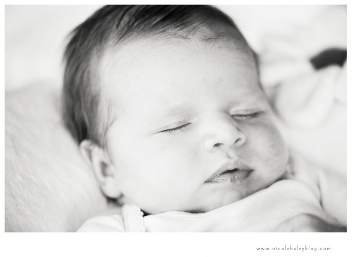 nicole haley photography, ann arbor child photography