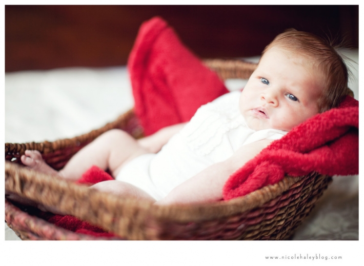 nicole haley photography, ann arbor child photography