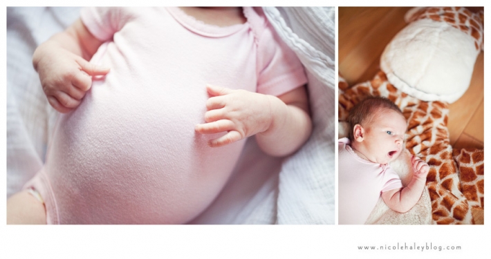 nicole haley photography, ann arbor child photography