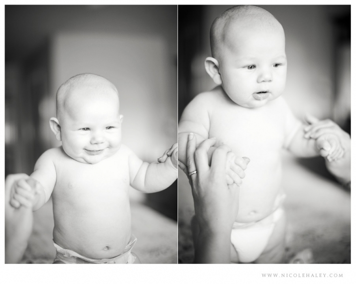 nicole haley photography _ ann arbor newborn photography