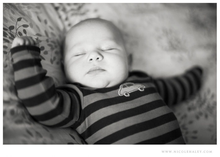 nicole haley photography _ ann arbor newborn photography
