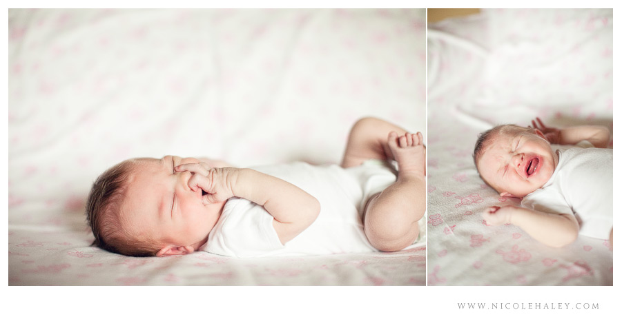nicole haley photography - newborn 02 nicole haley photography, ann arbor children photographers