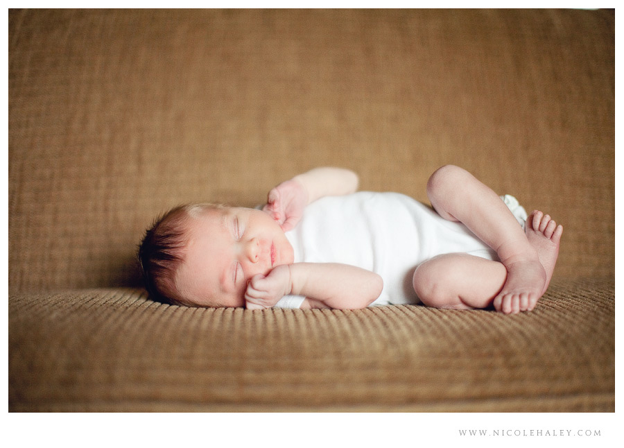 nicole haley photography - newborn 06 nicole haley photography, ann arbor children photographers