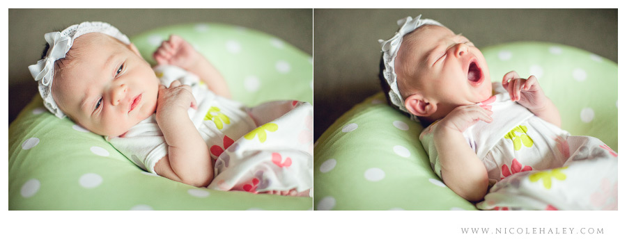 nicole haley photography - newborn 07 nicole haley photography, ann arbor children photographers