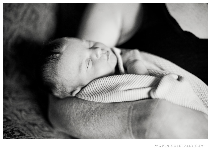 nicole haley photography, ann arbor children photographers