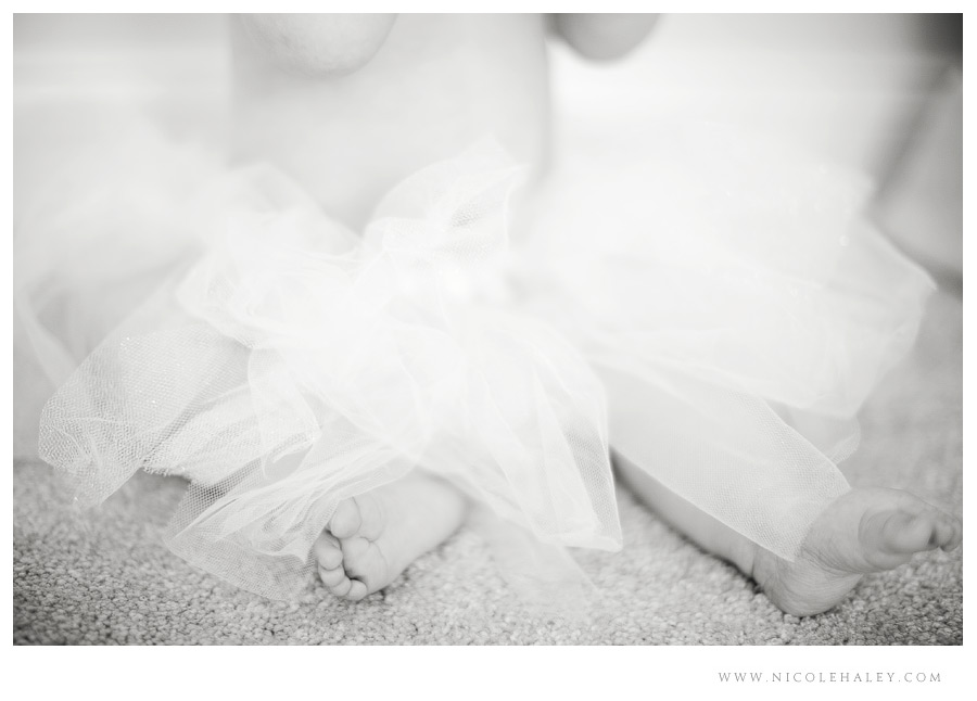 nicole haley photography _ ava03 nicole haley photography, ann arbor baby photography, baby in tutu