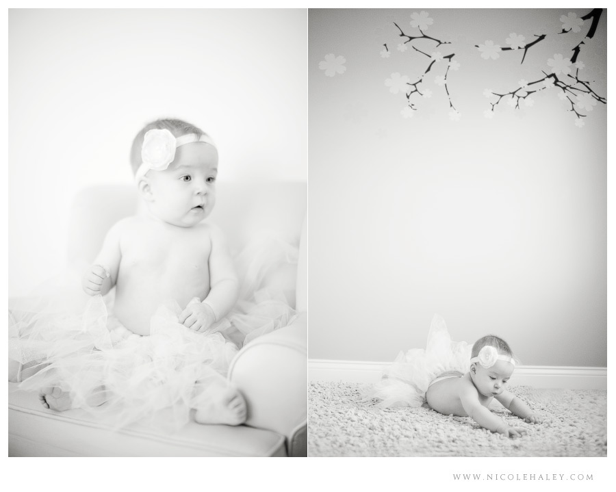 nicole haley photography _ ava06 nicole haley photography, ann arbor baby photography, baby in tutu