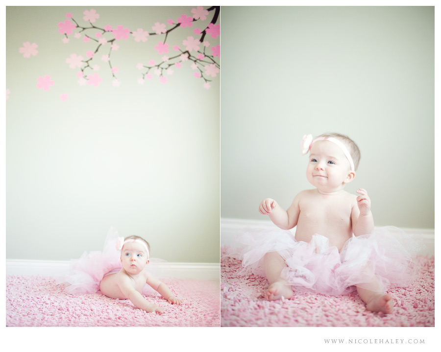nicole haley photography _ ava10 nicole haley photography, ann arbor baby photography, baby in pink tutu